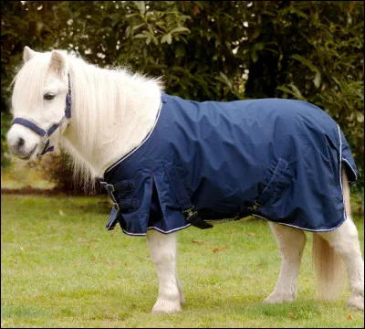 Le Shetland est-il robuste ?