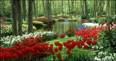 J'ai ... me rendre à l'ouverture du jardin botanique. Une splendeur ... monde, tout simplement !