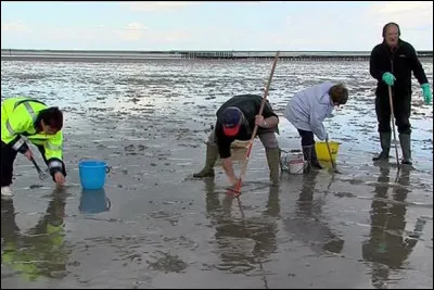 Quel est ce type de pêche ?