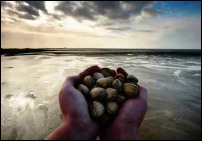 Qui le chanteur auteur-compositeur et interprète du titre ''Le Rêve du pecheur'' ?
