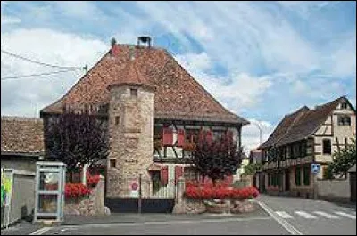 Nous sommes dans le Grand-Est, à Niedernai. Village du canton d'Obernai , il se situe ...