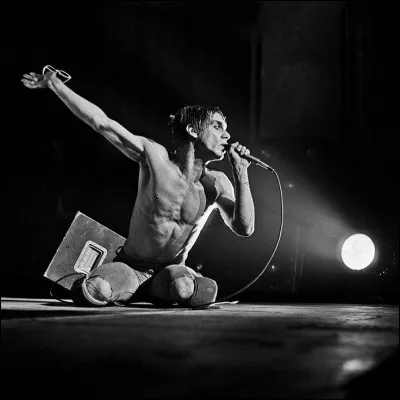 Surnommé l'Iguane ou encore The Godfather of Punk, il pouvait enflammer les foules par son jeu scénique.