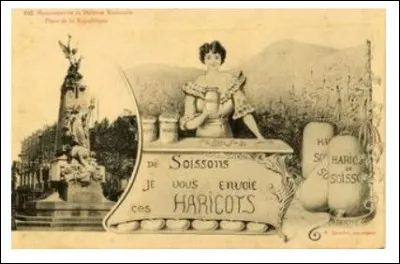 Le haricot de Soissons à sa réputation. Mais son appellation est ambiguë car on l'assimile à la fois à... quoi précisément ?