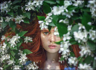 Complète la phrase : 
L'... est un organe spécialisé dans la réception des stimulations de l'environnement.