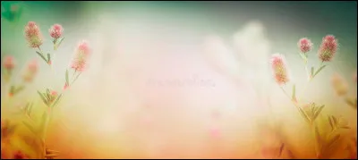 La cellule-uf est la première cellule du futur individu issue de la fécondation.