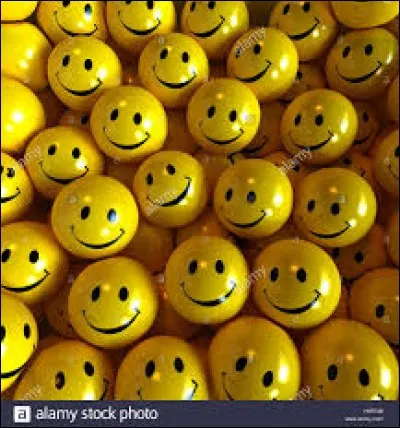 On ne dit pas 'une biroute', mais :