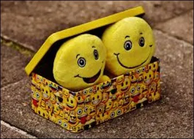 On ne dit pas 'c'est Alligator' mais :