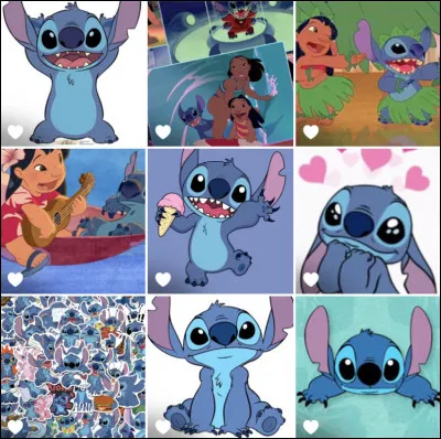 Comme beaucoup de gens le disent, Stitch est-il turquoise ?