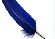 Quiz Culture gnrale autour des plumes
