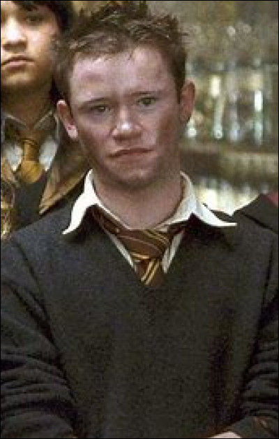 Seamus Finnigan - Dans tous les films, combien de fois fait-il des explosions ?