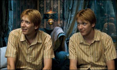 Fred et George Weasley - Avec quel argent vont-ils acheter leur boutique ?