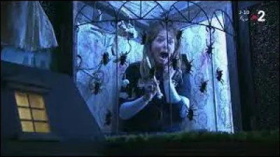 Dans le jeu télévisé "Fort Boyard", comment s'appellent les activités où les candidats vont devoir affronter leurs peurs pour obtenir des indices ?