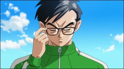 Quel &acirc;ge a Son Gohan ?