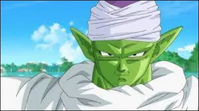 Quel &acirc;ge a Piccolo ?