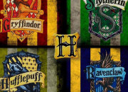 Test Dans quelle maison de ''Harry Potter'' es-tu ?