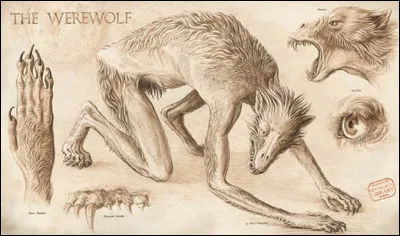 À quel âge le jeune Remus sest-il fait mordre par un loup-garou ?