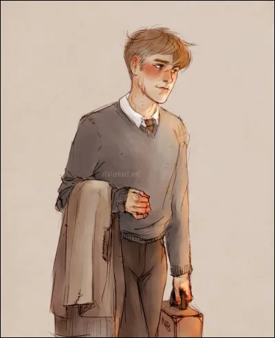 Dans quel maison le choixpeau décide-t-il de mettre Remus ?