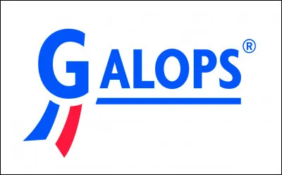 Quel est ton niveau en équitation ?