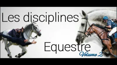 Quelle est ta discipline favorite ?