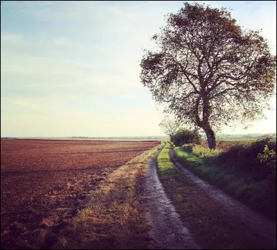 Dans quel album peut-on trouver le titre "Les Gens absents" ?