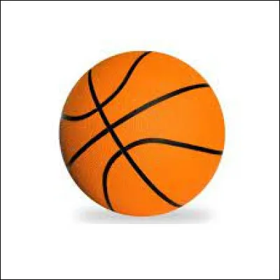 Quel sport joue-t-on avec ce ballon ?