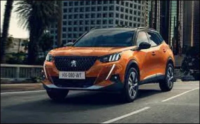 Cette voiture est une Peugeot 3008.