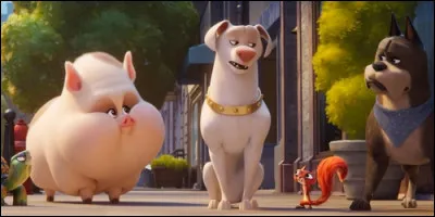 Quel animal possède Lex Luthor dans "Krypto et les Super-Animaux" ?