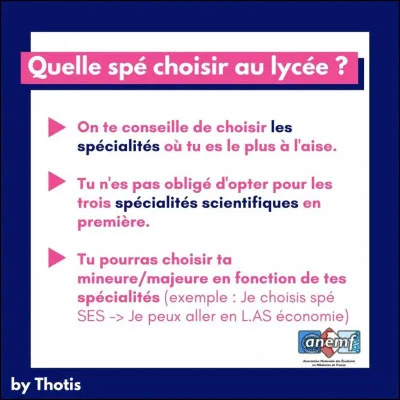 Quelle spécialité t'intéresse le plus ?