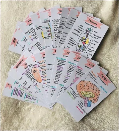 Vrai ou faux ? Tu aimes en savoir plus sur les êtres vivants, les phénomènes naturels de l'univers, la matière et ses transformations.