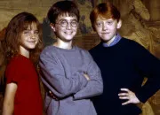 Quiz Impossible de ne pas avoir 100% sur ce quiz sur Harry Potter !