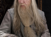 Quiz Vrai / Faux - Albus Dumbledore