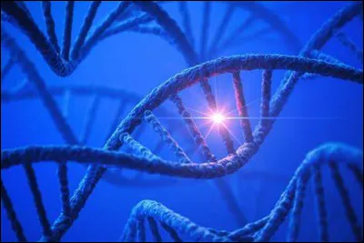 Avec lequel de ces syndromes celui de Jacobsen a-t-il été confondu jusqu'en 1995 ?