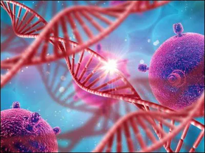 Quelle est la plus courante des cardiopathies congénitales cyanogènes ?