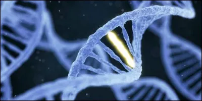 Lequel de ces éléments est absent dans le cas d'un syndrome de Treacher Collins ?