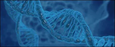 Quel chromosome peut présenter une anomalie entraînant la mucoviscidose ?