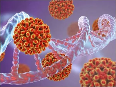 Comment la peau du malade du syndrome d'Ehlers-Danlos type classique est-elle ?