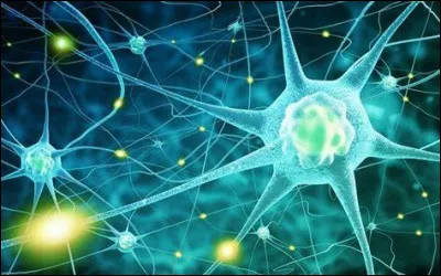 Quelle est la dyschromatopsie partielle la plus fréquente chez les personnes souffrant de daltonisme ?