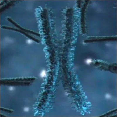 Laquelle de ces molécules est utilisée pour soulager la myoclonie dans la maladie d'Unverricht-Lundborg ?