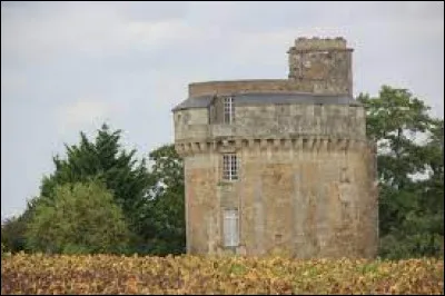 Nous sommes en Nouvelle-Aquitaine, devant la tour du château d'Abain, à Thurageau. Commune de l'aire d'attraction Pictavienne, elle se situe dans le département ...
