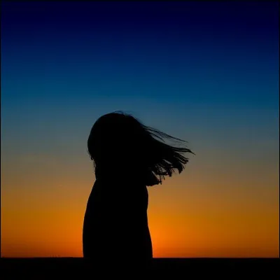 Je suis une ombre dans la nuit, une forme dans les ruelles ou encore j'apparais grâce au soleil, je suis la/le...