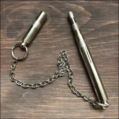 Utilisé pour appeler un chien ou tout simplement en cours d'éducation physique, c'est le...