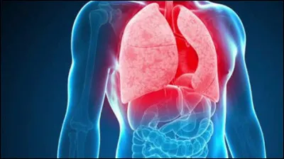 Sur lequel de ces animaux Jean-Antoine Villemin a-t-il reproduit les lésions de la tuberculose ?