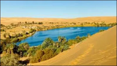 On dit un ou une oasis ?