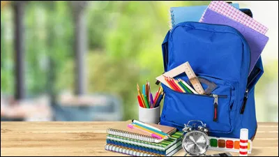 Es-tu au lycée, au collège, en primaire ou travailles-tu ?