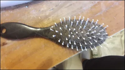 Que représente cette image ?