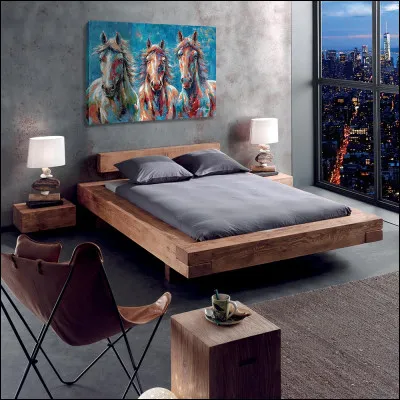 Que représente cette image ?