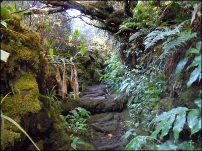 Quel défi "une semaine" oserais-tu réellement faire ?