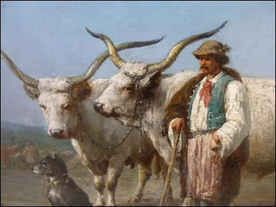 Quel est le nom de celui qui garde et conduit les bufs ?