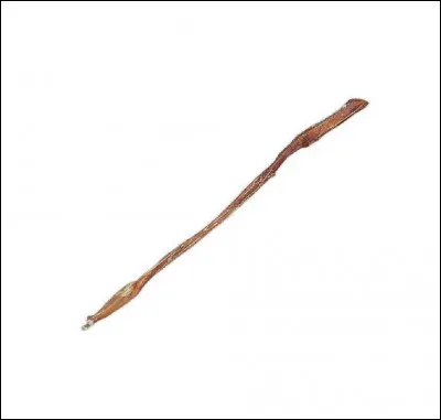 De quelle partie du buf est issu le nerf de buf ?