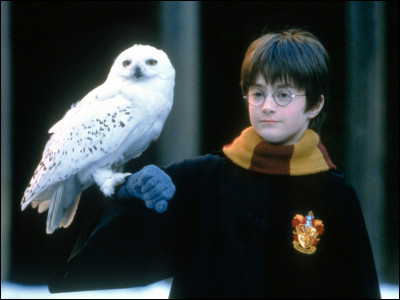 Comment s'appelle la chouette de Harry Potter ?